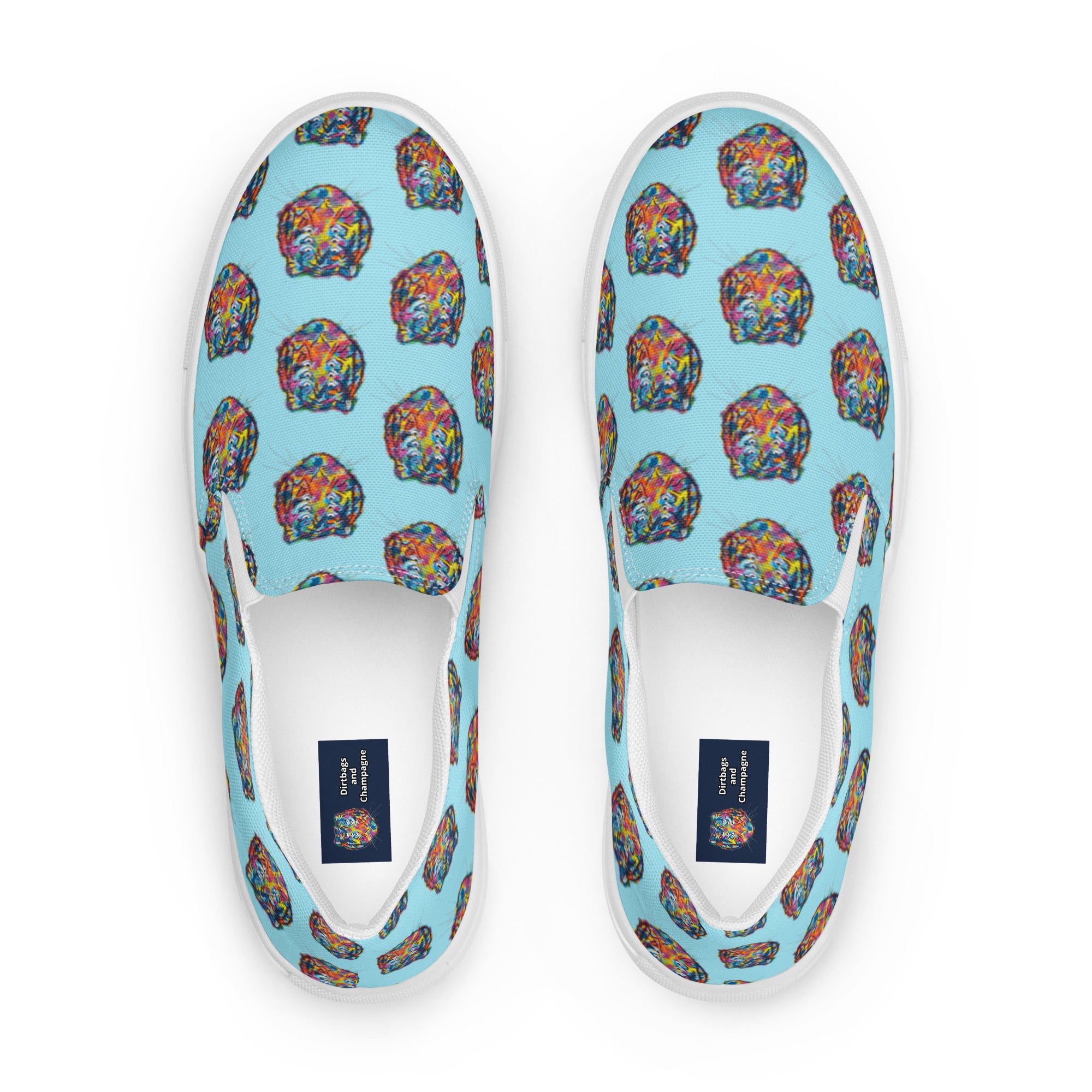 sky blue 6 eyed rainbow tiger Women’s slip-on canvas shoes