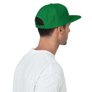 Kelly Green and white couch Snapback Hat