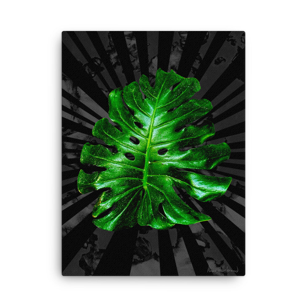 Monstera 36"x24" or 24"x18" 3/4 Thick canvas